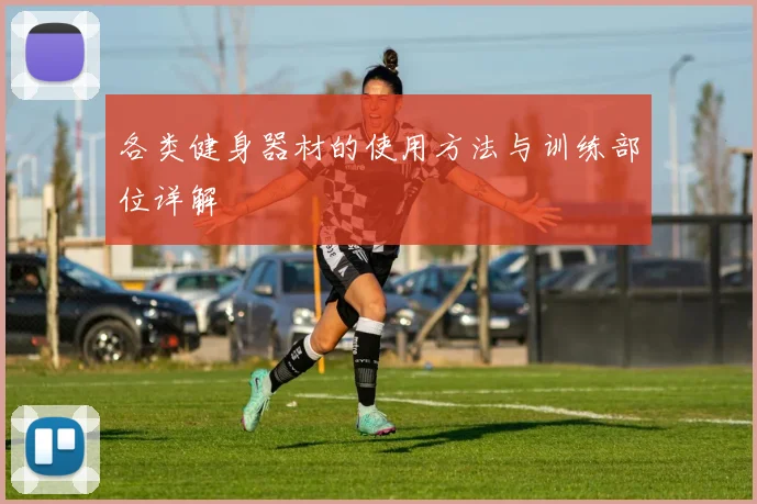 各类健身器材的使用方法与训练部位详解