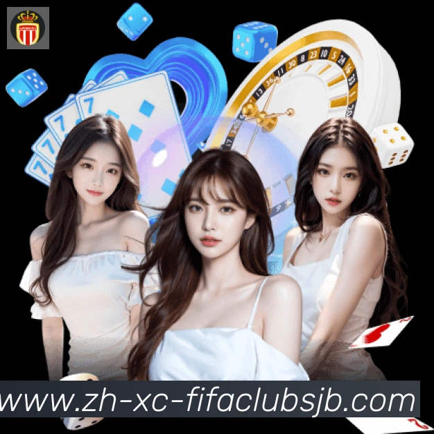 未来规划